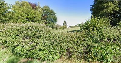 Terrain constructible - 616 m²