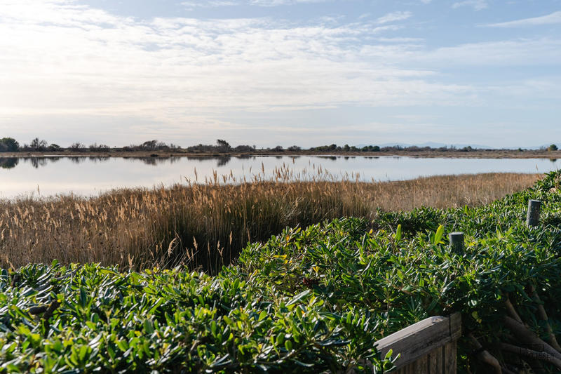 Villa - 28 m² - 2 pièces