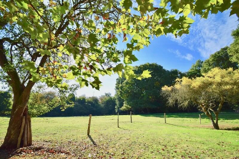 Propriété - 510 m² - 20 pièces