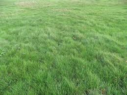 Terrain constructible - 650 m²