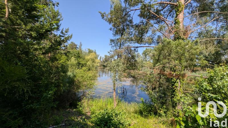 Terrain - 20 000 m²