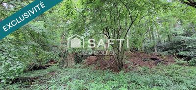 Terrain - 25 303 m²