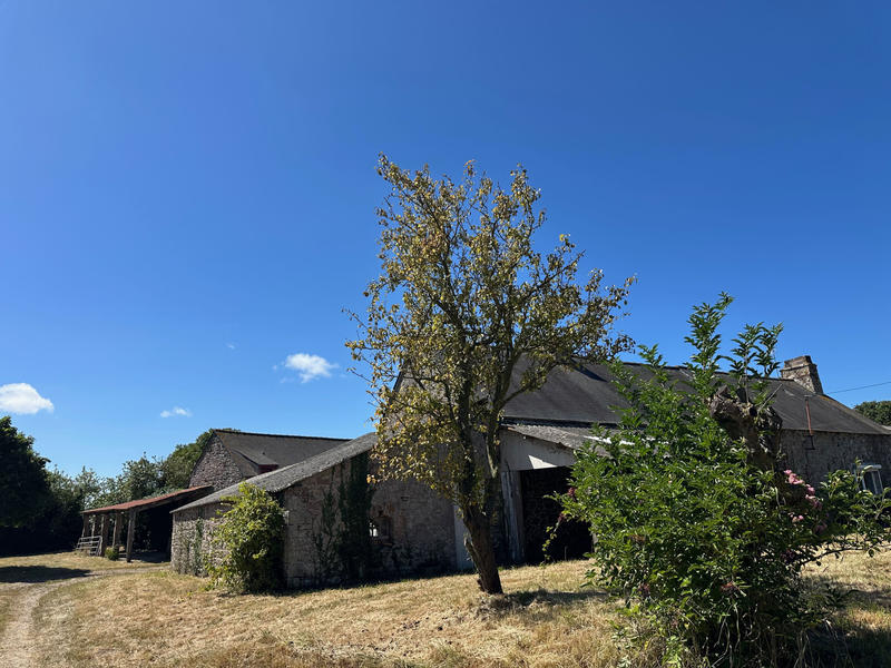 Maison - 103 m² - 4 pièces