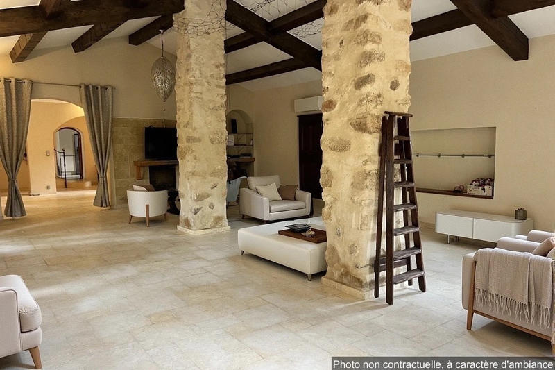 Mas - 280 m² - 6 pièces