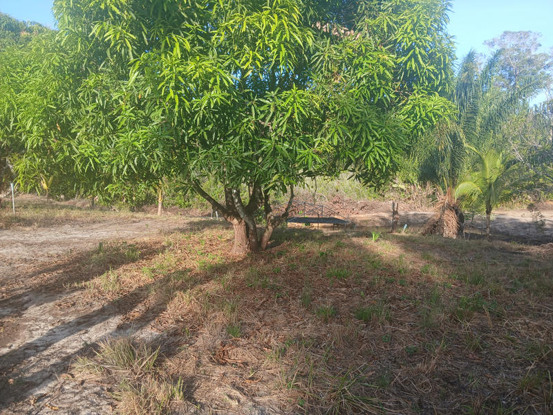 Terrain agricole - 10 004 m²