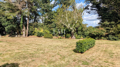 Terrain - 1 230 m²