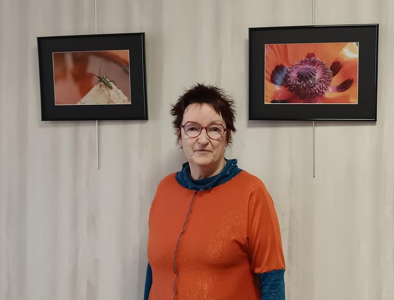 Exposition des photos