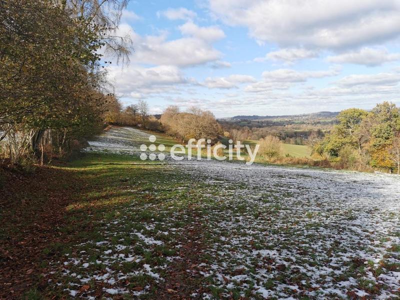 Maison de domaine équestre - 123 m² - 5 pièces