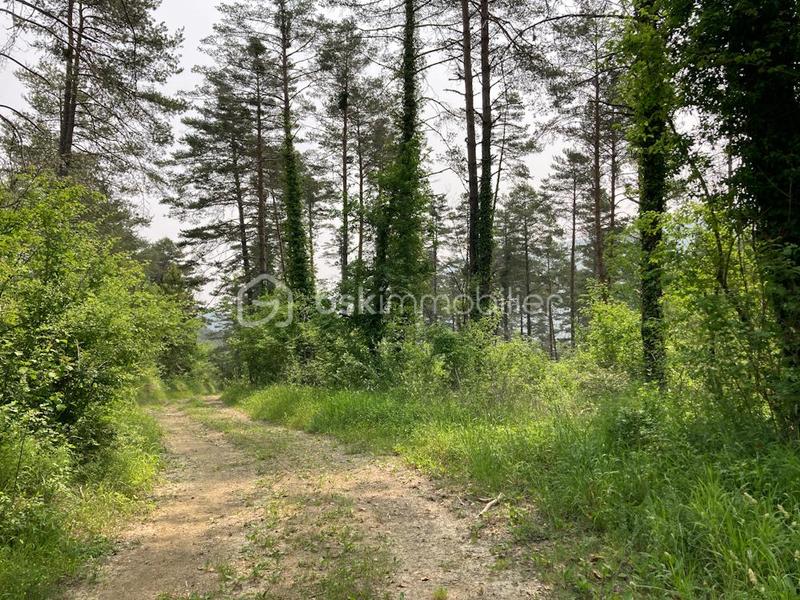 Terrain - 72 330 m²