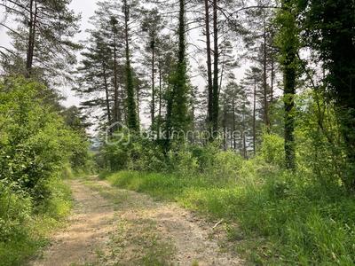 Terrain - 72 330 m²