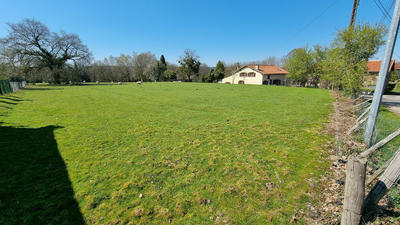 Terrain - 50 000 m²