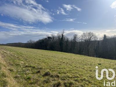 Terrain - 2 704 m²