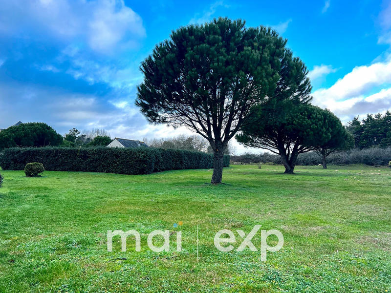 Appartement - 35 m² - 3 pièces