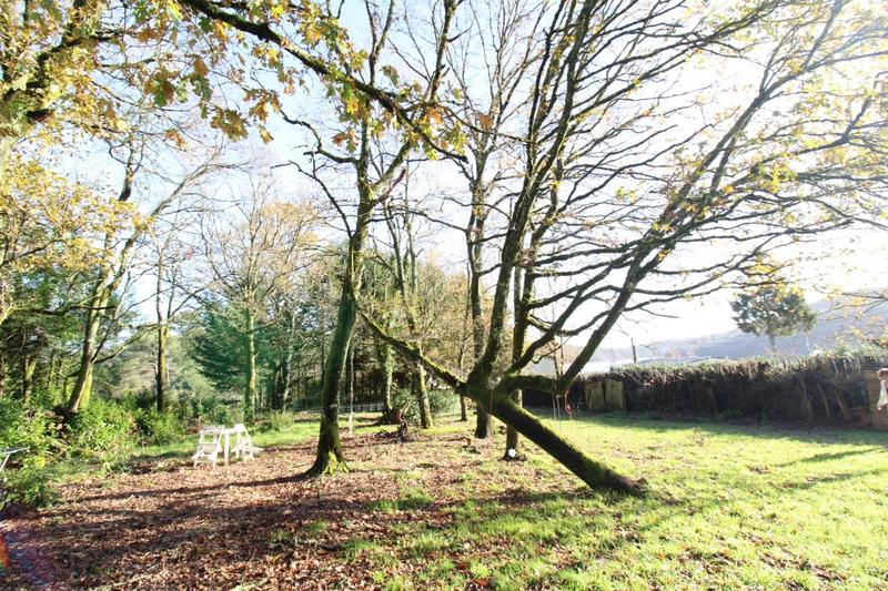 Terrain - 30 030 m²