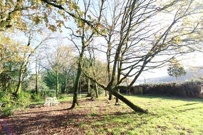 Terrain - 30 030 m²