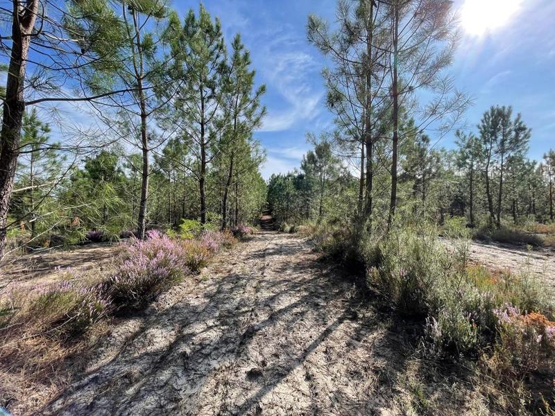 Terrain - 34 718 m²