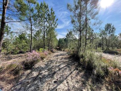 Terrain - 34 718 m²