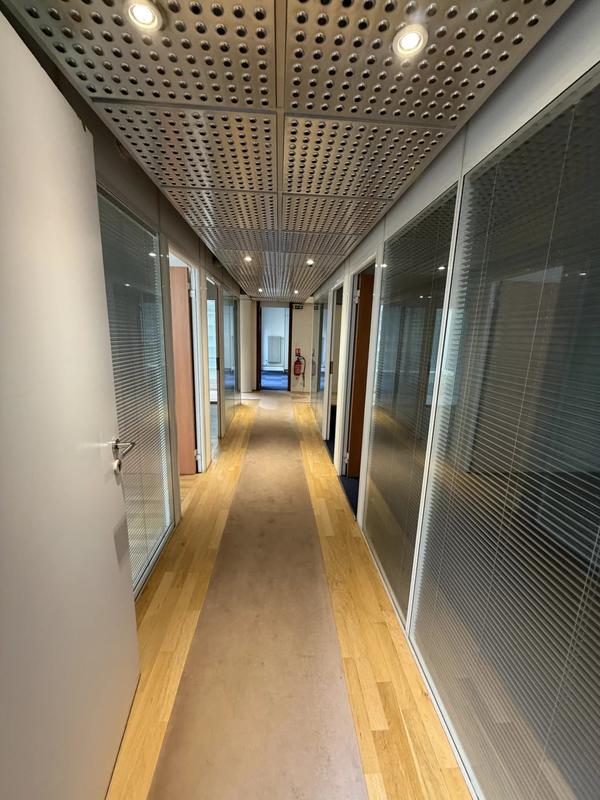 Local commercial - 569 m²