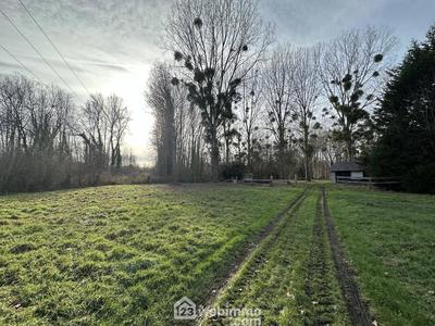 Terrain - 3 900 m²