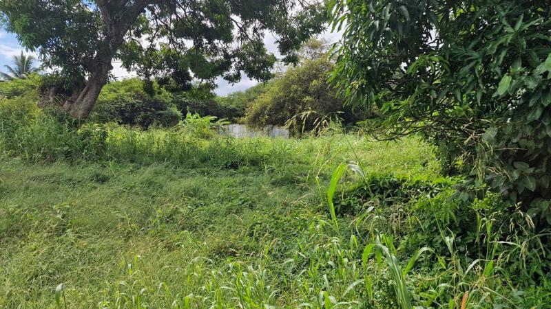 Terrain constructible - 800 m²