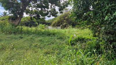 Terrain constructible - 800 m²