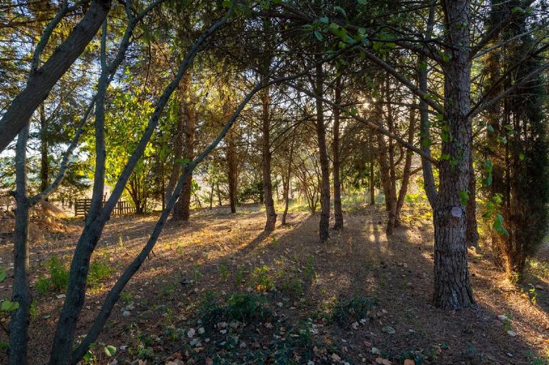 Maison - 200 m² - 5 pièces