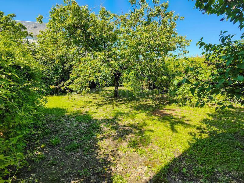 Maison en pierre - 194 m² - 10 pièces