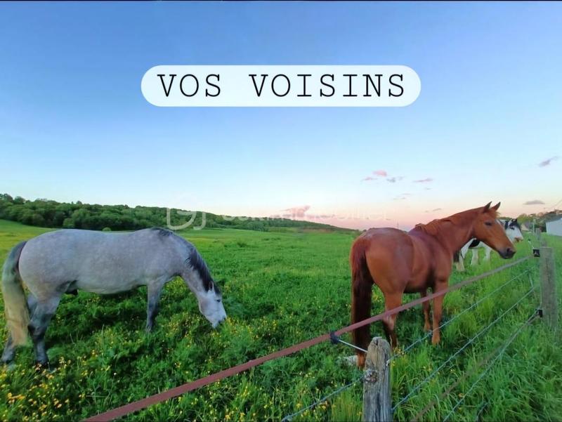 Pavillon - 151 m² - 7 pièces