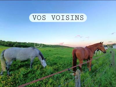 Pavillon - 151 m² - 7 pièces