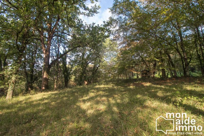 Maison - 230 m² - 10 pièces