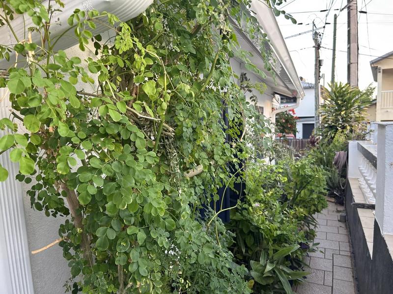 Maison - 90 m² - 6 pièces