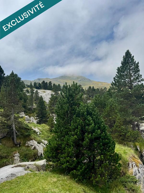 Appartement - 24 m² - 1 pièce