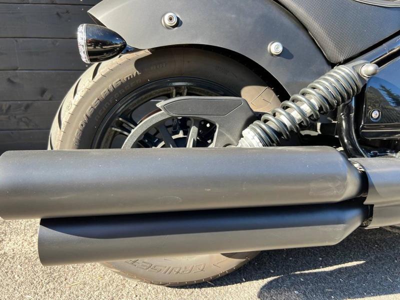 Indian Chief Dark Horse