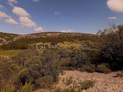 Terrain agricole - 12 490 m²