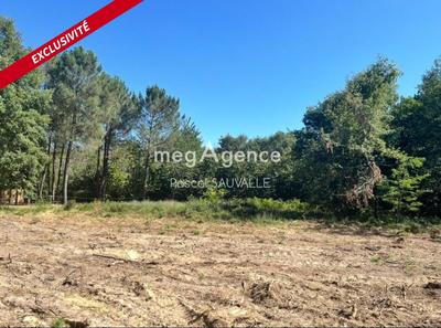 Terrain constructible - 1 481 m²