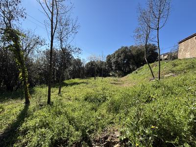 Terrain constructible - 1 330 m²