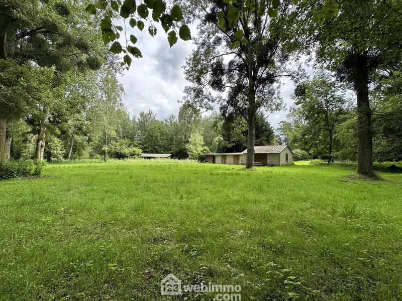 Terrain - 11 300 m²