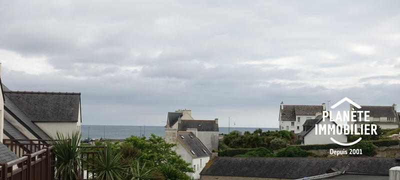 Duplex - 30 m² - 2 pièces