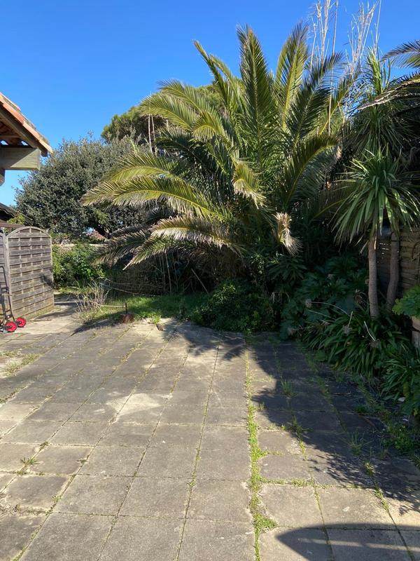 Local commercial - 685 m²