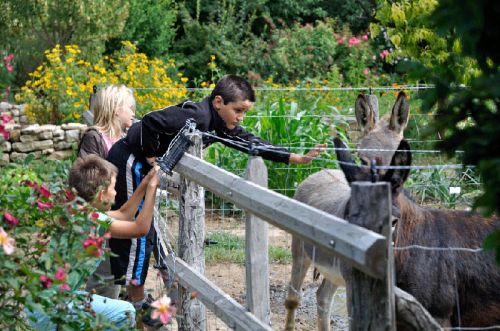 Jardin aux Plantes Parfumées