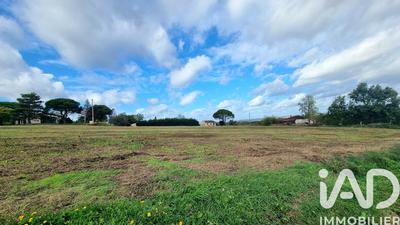 Terrain - 11 884 m²