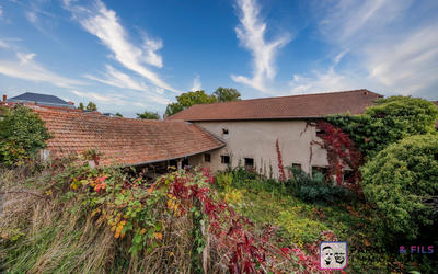 Ferme - 445 m² - 5 pièces