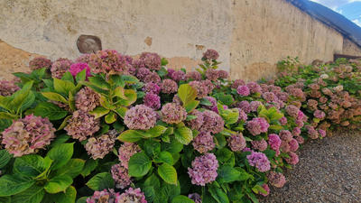 Maison - 100 m² - 6 pièces