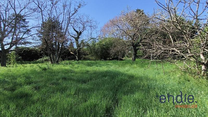 Maison - 220 m² - 7 pièces