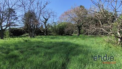 Maison - 220 m² - 7 pièces