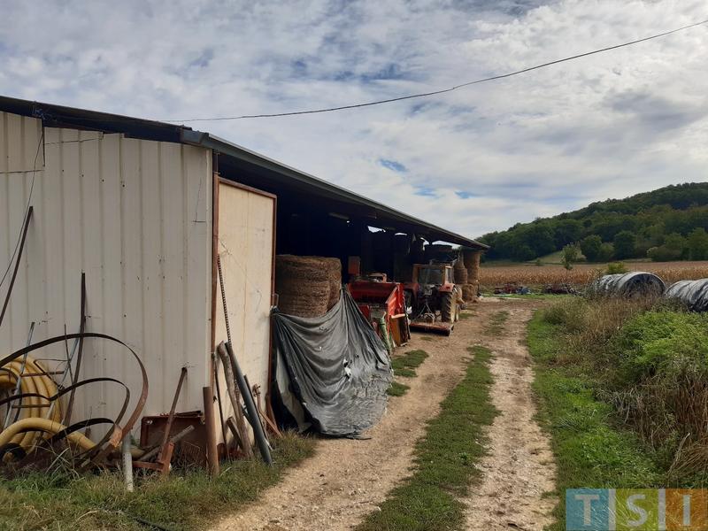 Propriété viticole - 220 m² - 8 pièces