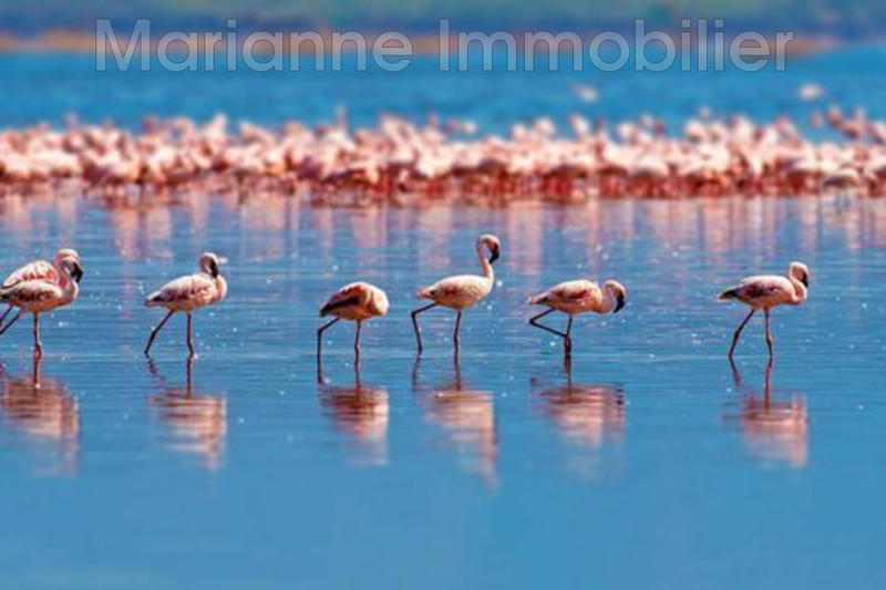 Appartement - 78 m² - 3 pièces