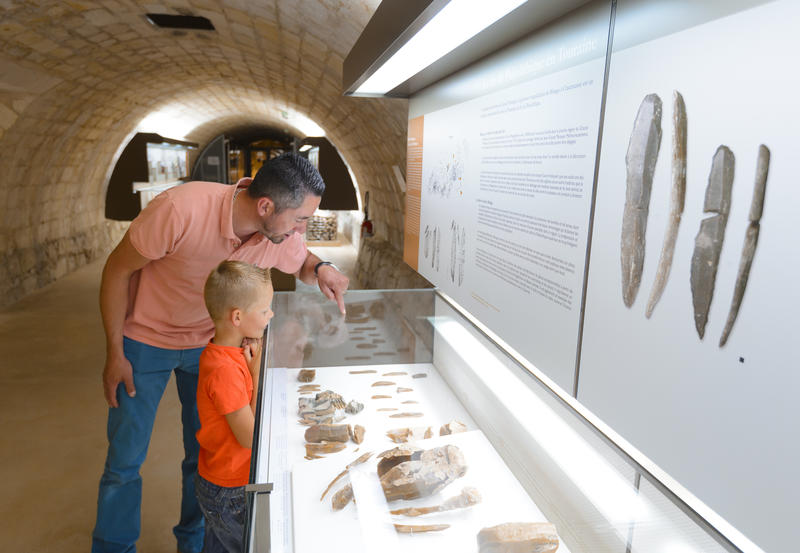 Visite guidée des collections 100 000 ans de Préhistoire en Touraine