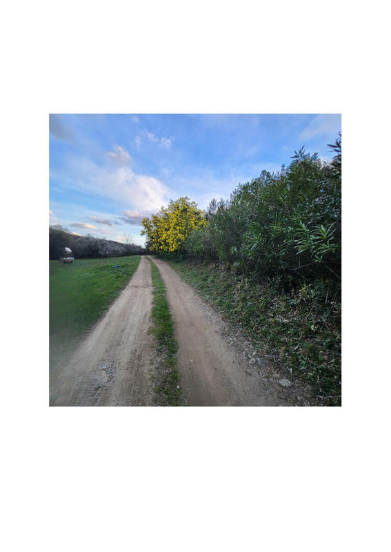 Demeure - 194 m² - 7 pièces