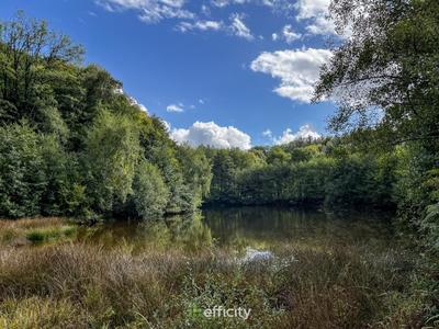 Maison en pierre - 136 m² - 4 pièces